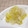 やまうさ's cooksnap of when they made 白菜とホタテのとろとろ煮.