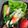 クックJDRLCG☆'s cooksnap of when they made 簡単に一品♬オクラのわさび醤油和え.