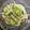 ☆Rokko☆'s cooksnap of when they made もやしときゅうりの酢の物★.