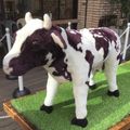御幸山's cooksnap of when they made 甘納豆入り、抹茶パウンドケーキ.