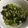 santomo☆'s cooksnap of when they made 海苔たっぷり♡大根の葉の炒めもの.