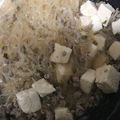 たいがちん's cooksnap of when they made 簡単！四川風麻婆豆腐.