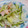 めみたん☆'s cooksnap of when they made きゅうりとたまねぎとハムの粒マスサラダ.