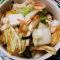 のぶ代's cooksnap of when they made 調味料2つ【白菜と人参の簡単浅漬け】.