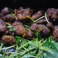 えりんこちゃん＾３＾'s cooksnap of when they made 貧血さんいらっしゃい！鶏レバーの南蛮漬け.