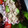 クックJDRLCG☆'s cooksnap of when they made おつまみに！ツナマヨと枝豆の簡単夏サラダ.