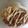 ぽちっどら's cooksnap of when they made 鮭マヨたま丼～.