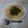 クックTC79QG☆'s cooksnap of when they made 担々麺風パスタ.