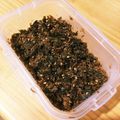 ゆる☆とも's cooksnap of when they made 出汁の『がら』で 手作りふりかけ.