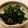 まっこりこりん's cooksnap of when they made オータムポエムの海苔酢炒め.