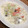 ことむん's cooksnap of when they made 牛乳消費!!牡蠣と白菜のクリーム煮☆.