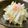 solapapa's cooksnap of when they made 大根と白菜の簡単サラダ♪.