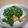 ふぅちゃんとボブ's cooksnap of when they made 鶏肉のさっぱりニラねぎ塩ダレがけグリル.