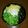 よよっち♪'s cooksnap of when they made 簡単ランチ☆春菊とわかめのたぬきうどん.