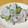 3yury's cooksnap of when they made 簡単もう一品！きゅうりのゆかり香味和え.