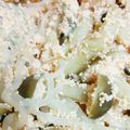 あぶそる～て's cooksnap of when they made しらたきとしめじとタラコの炒め煮.