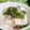 みっくママ's cooksnap of when they made 夏にピッタリの「薬味」.