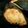 aco0602's cooksnap of when they made 簡単♪ぶり照り焼き.