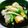 miniまむ♡'s cooksnap of when they made 簡単小鉢　厚揚げと白菜の肉あん♪.