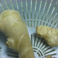 ＭＯＭＯパンダ's cooksnap of when they made 生姜 保存方法.