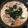 クックRKKOMT☆'s cooksnap of when they made あったかヘルシー♡豆乳みそ鍋.