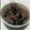クックBIQGZF☆'s cooksnap of when they made 黒豆ごはん.