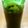 つるうめもどき's cooksnap of when they made 自家製ポン酢。無添加で出汁と柑橘香る♪.