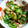 のらのらのらのらのら's cooksnap of when they made ツナとキュウリの柚子胡椒和え.