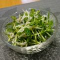 ☆クラちゃん☆'s cooksnap of when they made 豆苗とシラスの簡単サラダ☺️ナムル風.