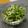 ☆クラちゃん☆'s cooksnap of when they made 豆苗とシラスの簡単サラダ☺️ナムル風.