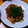 とある双子の父親's cooksnap of when they made 柔らかでコクのある美味しい生姜焼き！.