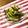 ゆうかʕ•ᴥ•ʔ's cooksnap of when they made 豆板醤でピリ辛☆きゅうりのおつまみ.