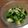 ななお_k's cooksnap of when they made 5分レシピ！菜の花とお麸のゴマ和え.