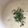 wnemu801's cooksnap of when they made 菊芋ポタージュ.