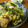 低カロ探検隊's cooksnap of when they made ■お麩と小松菜の卵とじ■.