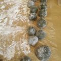 クックGMCM85☆'s cooksnap of when they made 塩大福.