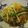 クックRQ8OPG☆'s cooksnap of when they made もやしとひき肉のうまとろ煮.