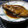 どれみ０８'s cooksnap of when they made かれいの煮付け.