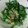 ウミガメ１'s cooksnap of when they made つるむらさきとオクラのゴマドレ.