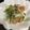 ngta05's cooksnap of when they made 豆苗・ベーコン・エノキの炒め物.