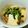 けのはえたさかな's cooksnap of when they made 小松菜と厚揚げの煮物.