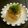 Hirarinn☆'s cooksnap of when they made ♡なめたけゴマ風味冷奴♡.