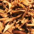 zaruzaru's cooksnap of when they made きのこいっぱい煮.