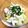 micchily's cooksnap of when they made ささみと白菜のヘルシーサラダ.