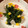 かおり85's cooksnap of when they made ✿ほうれん草の中華風サラダ✿.