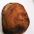 あさここなっつ's cooksnap of when they made HB チョコココア食パン.