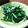☆のっこ★'s cooksnap of when they made からし菜の昆布茶炒め☆お弁当や副菜に最適.