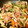 ノッツ's cooksnap of when they made 大根とピーマンのベーコン炒め.