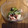 ＴＥＴＵーＭＥＴＡＬ's cooksnap of when they made さっぱりして簡単！わかめの酢の物.
