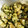 クック0MHF56☆'s cooksnap of when they made 超簡単！サクサク揚げ蓮根ポン酢！.